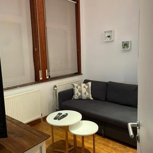 Charmant studio cosy au cœur d'Ixelles, hotel in Brussels