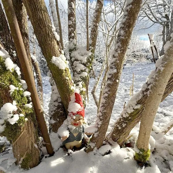 Chalet les airelles -chalet cosy près de colmar dans les vosges – hotel w mieście Labaroche