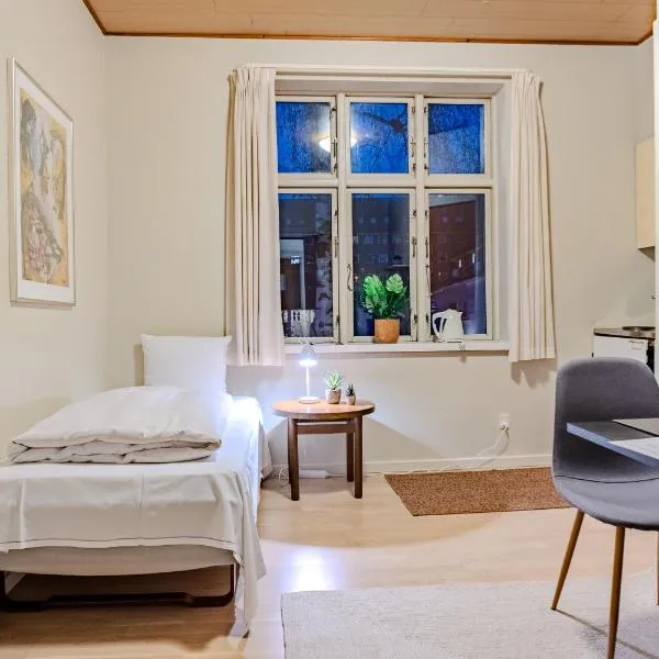 Villa Apartments Viborg, hótel í Viborg
