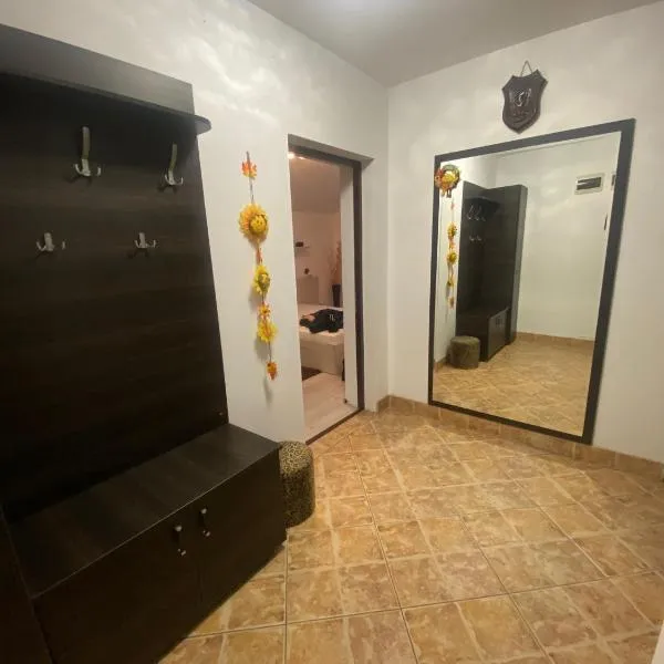 Liza Apartament, hotel v destinaci Kluž