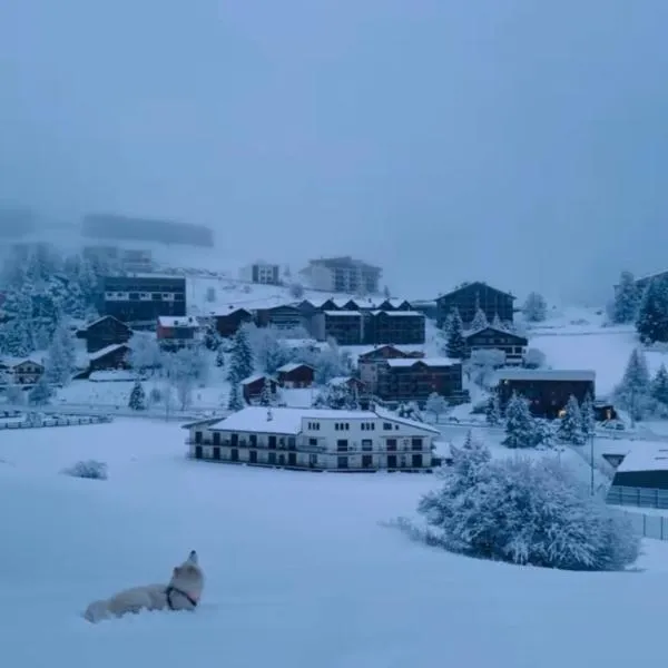 Studio lumineux avec vue et accès sur les pistes ! Coup de coeur, hotel in Valberg