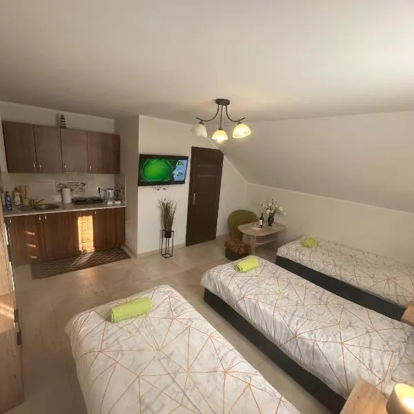 Studio Mączyńskiego nr 9, hotel in Jarosław