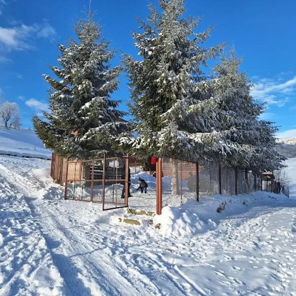 Casa Corina Sirnea、シルネアのホテル