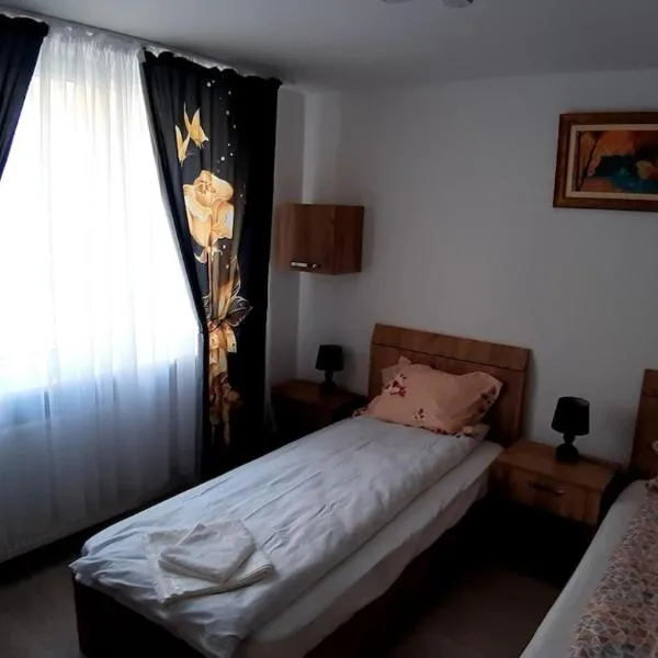 Acasa in Piatra Neamt、ピアトラ・ネアムツのホテル