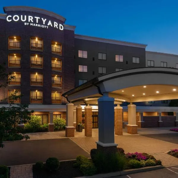 Courtyard by Marriott Buffalo Airport, hotel in Cheektowaga
