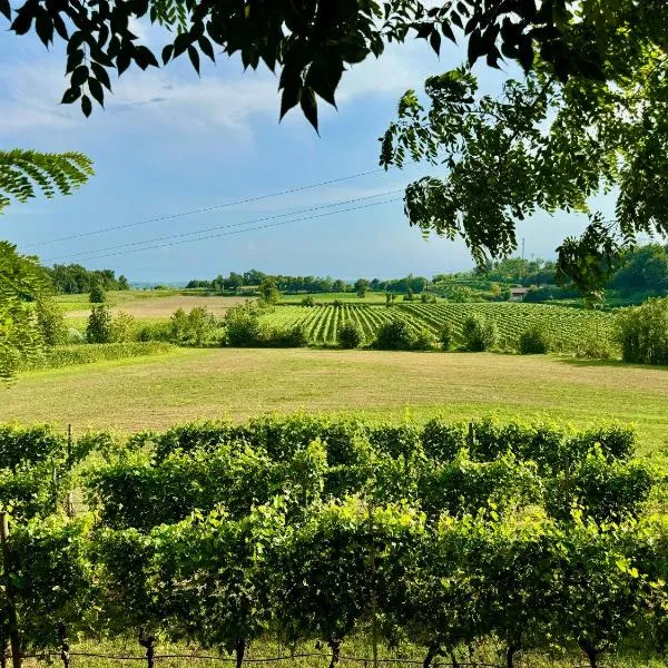 Residenza Le Vigne, hotel v destinácii Pozzolengo