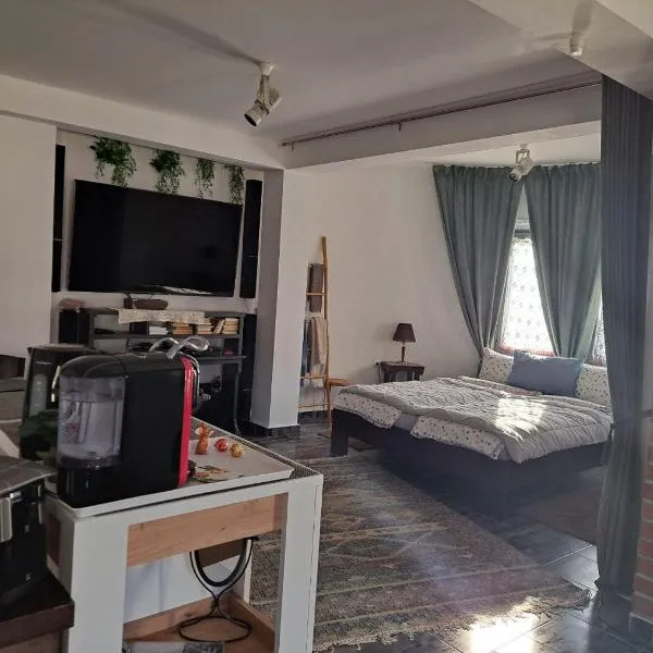Gnezdo Studio Apart, hotel in Shipka