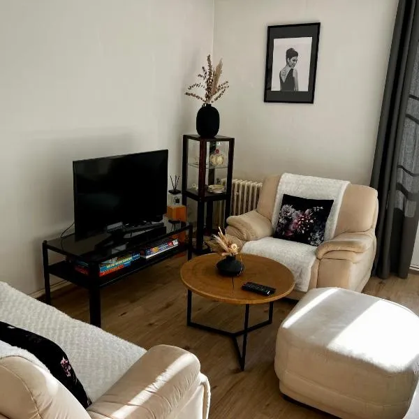 Útulný apartmán v historickém centru města Písek, hotel v Písku