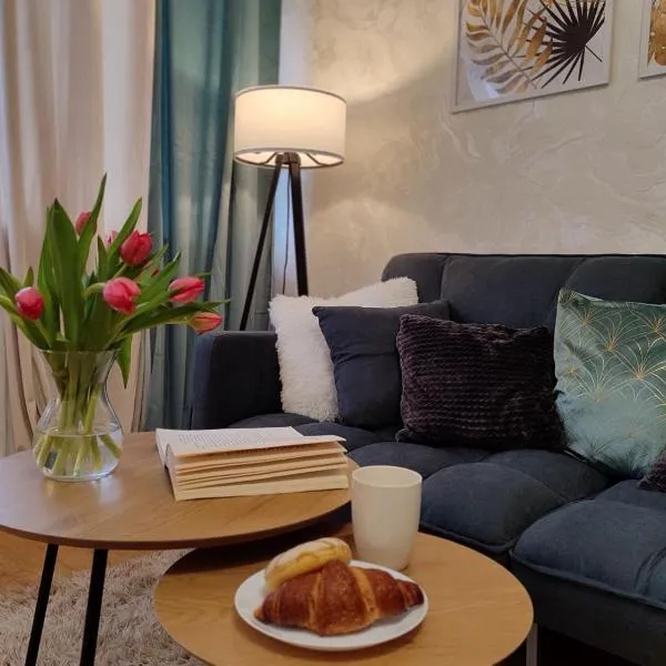 Narva Vahtra Apartment, готель у місті Нарва