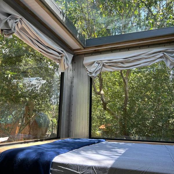 Tree House