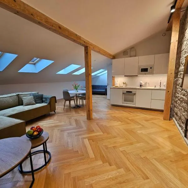 Suur-Karja Penthouse Apartment, hotel en Tallin