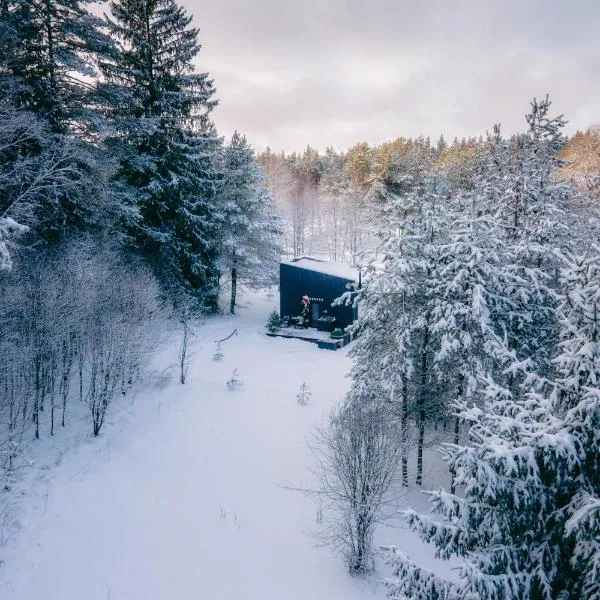 NEILA - 'Virš Ąžuolų' - Forest SPA - FREE jacuzzi, ξενοδοχείο σε Paplatelė