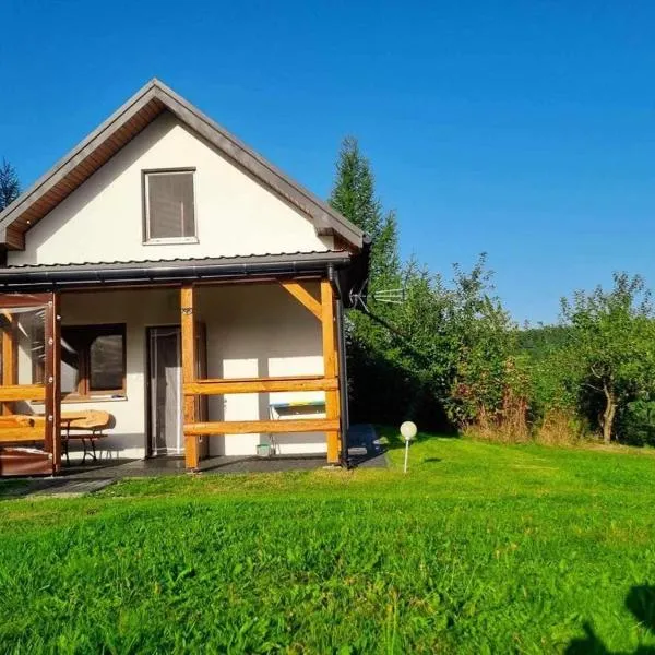 Bieszczadzki domek, готель у місті Wola Matiaszowa