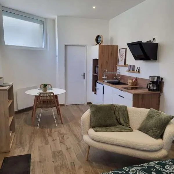 Studio centre d Arcis, hotel v destinácii Arcis-sur-Aube