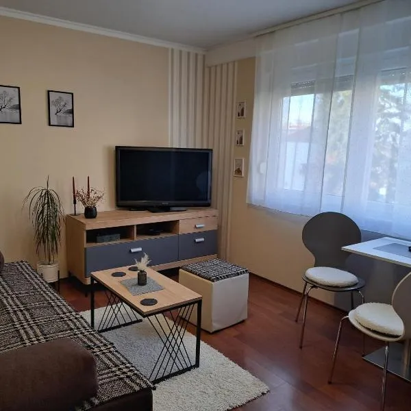 Apartman BELIS, hotel v destinaci Belišće