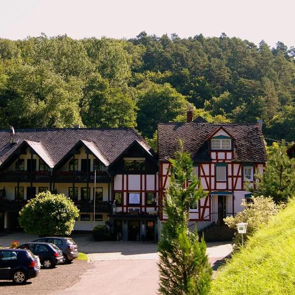 Baunhöller-Mühle, hotel in Leiningen