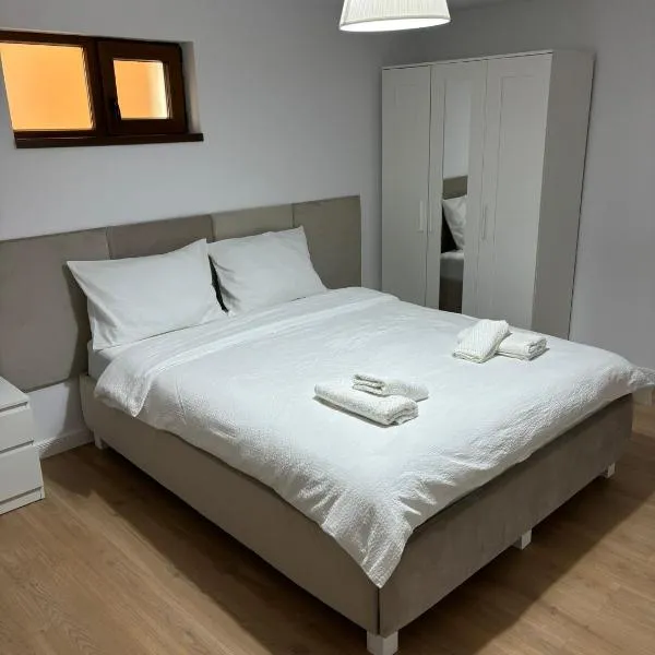 Damian Confort Zone, hotel v destinaci Temešvár