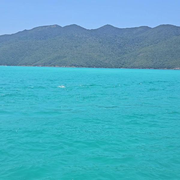 Cozy House in Arraial do Cabo