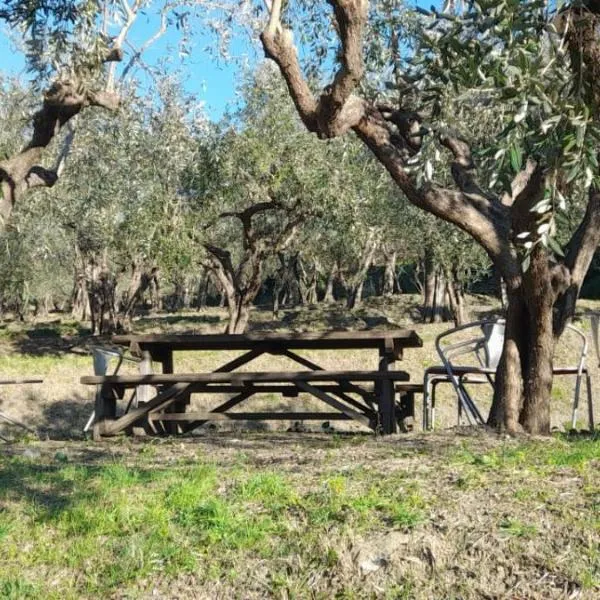 Agriturismo Cele, hotel v destinaci Celle Ligure