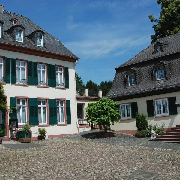 Hotel Tillmanns, hotel v destinaci Eltville