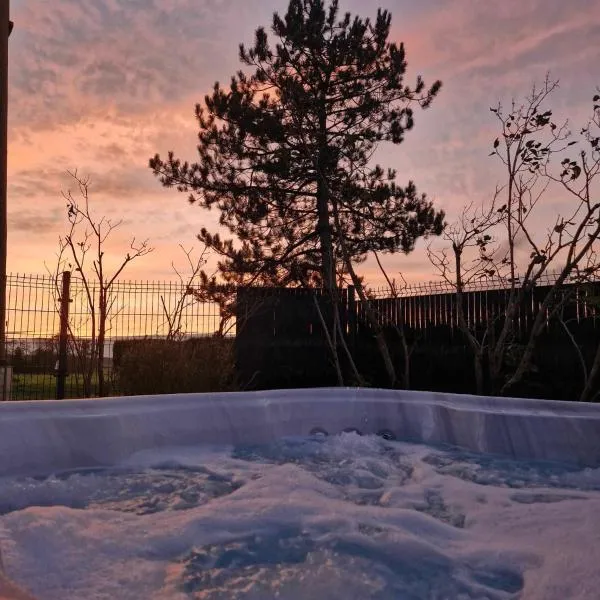 Chalet JACUZZI/spa privatif PERCE NEIGE, hotel v destinácii Plombières-les-Bains