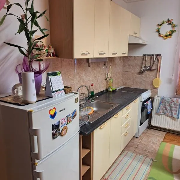 Apartman Pašićeva, hotel v destinaci Loznica