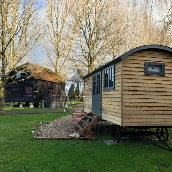 Luxury shepherd hut on rare breed smallholding, hotel in Bulford