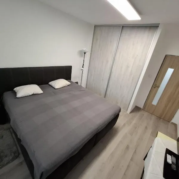 2 izbový byt 65 m2 so 4 lôžkami, hotel v destinaci Nitra