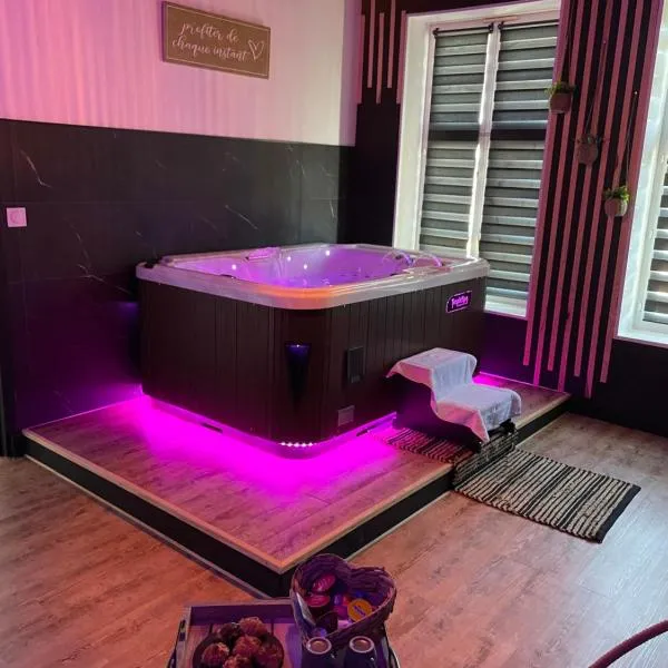 Au spa de clem, hotel v destinaci Guemps