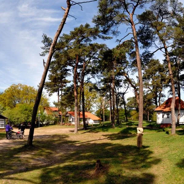 Gaststätte und Pension Zum Klausner, hotel v destinaci Kloster