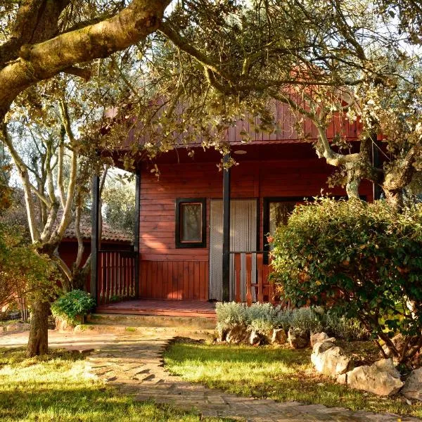 Camping Alquézar, hotel v destinaci Alquézar