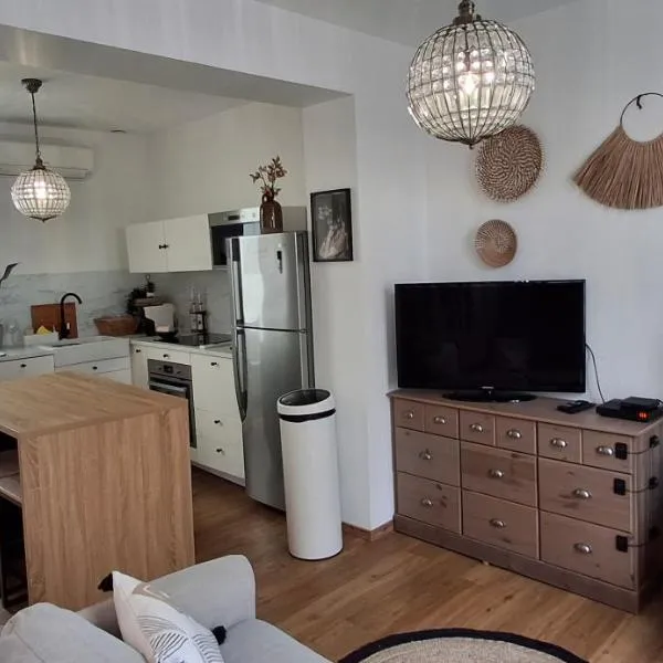 Maison cosy, climatisation et jardin, hotel in Tours
