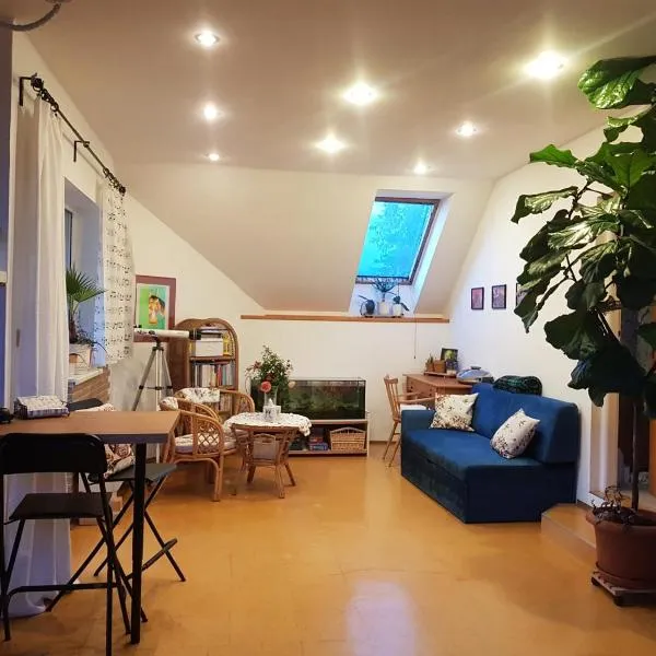 Apartmán Sluníčko, hotel in Ohrazenice