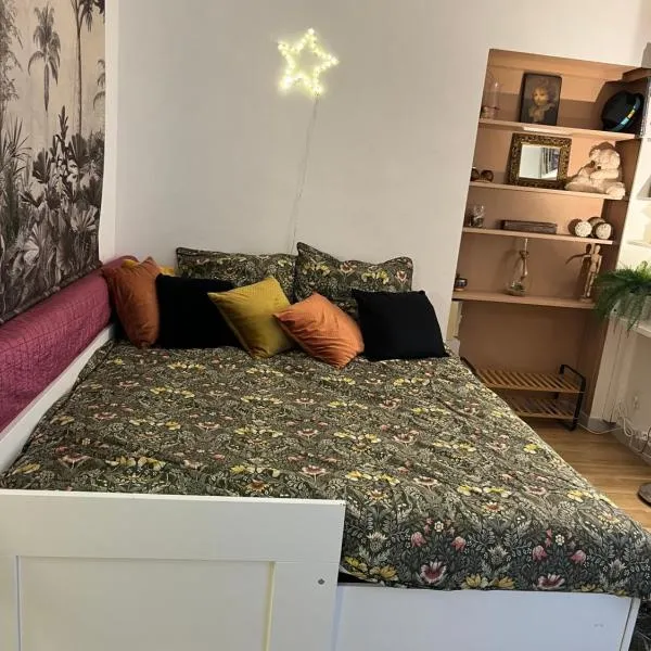 Studio indépdt centre ville 300m du lac d’Annecy, hotel v destinaci Veyrier-du-Lac