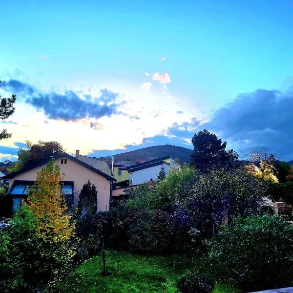 Pension Haus Marianne, hotel v destinaci Bad Vöslau