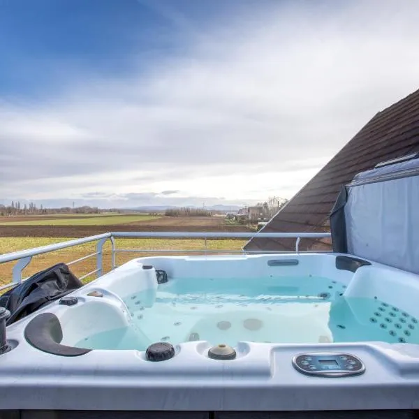 ESPLANADE HOME Private SPA Jacuzzi Sauna Parking, Colmar, hotel v destinaci Muntzenheim