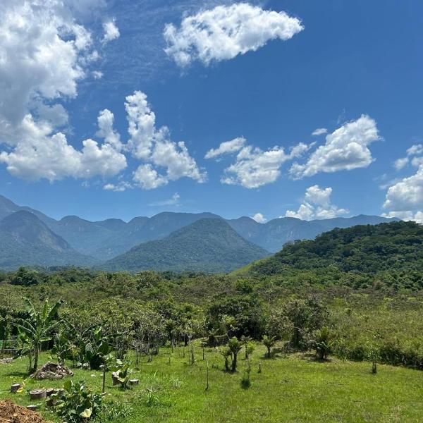 Pousada Camping dos Ypês suítes - Foto 5