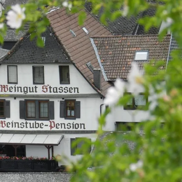 Weingut Stassen, hotel v destinaci Oberheimbach