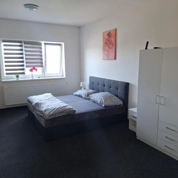 Apartmán U Radka, hotel in Chodov