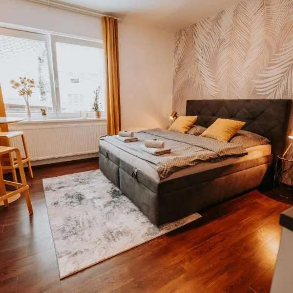 CityBeat Apartments, 400m from the square, hotel v Plzni
