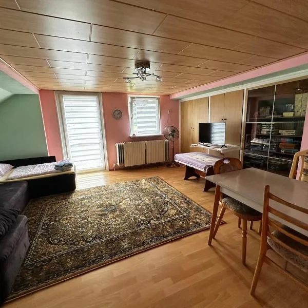 Wohnung für Monteure & Handwerker, hotel v destinaci Neustadt am Kulm