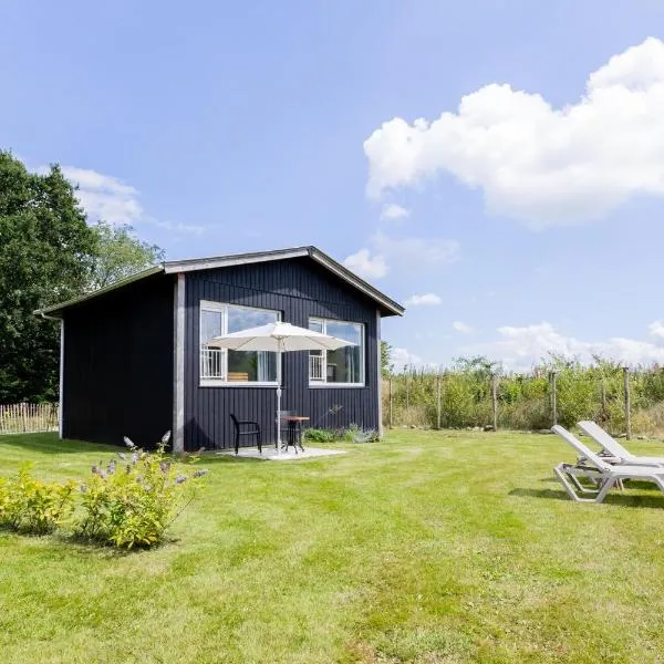 Tiny house XL - De Kremmer, hotel en Gasselte