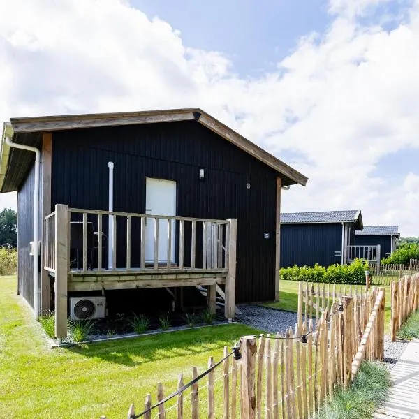 Tiny house XL - Vakantiepark De Kremmer, hotel v destinácii Gasselte