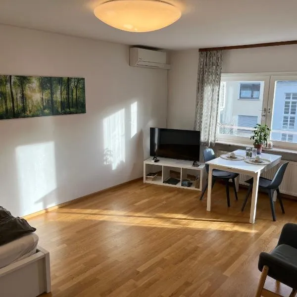 Wohnung am Neckar, hotel en Heidelberg