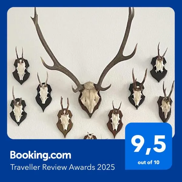 Magic Forest Design Apartment, 65 Zoll TV, Waschtrockner, beste Lage, am Markt, Hotel in Gera