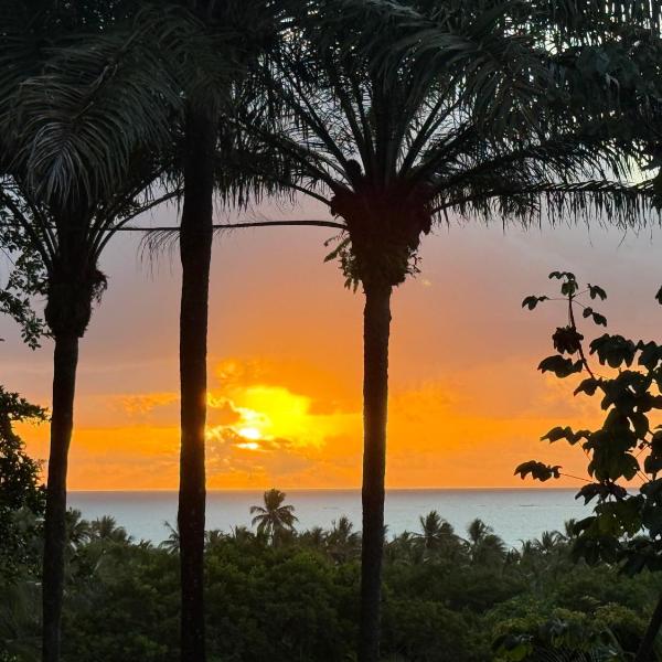 Sunrise Paradise