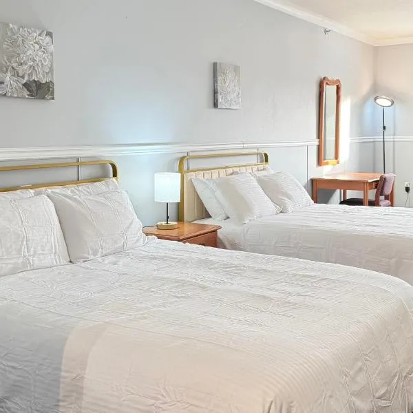 Elite Hotel -Downtown Center- "Ski & Northern light Tour" "Hot Spring Tour "Long-term stay", hotel in Whitehorse