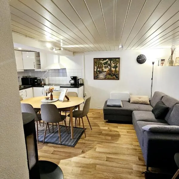 Central and Large cosey apartment、スタヴァンゲルのホテル