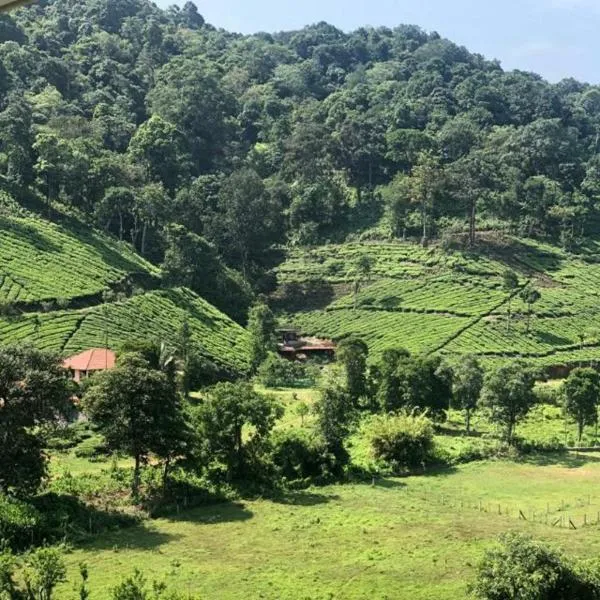 Janiro Tea Trees Villas, hotel a Vythiri