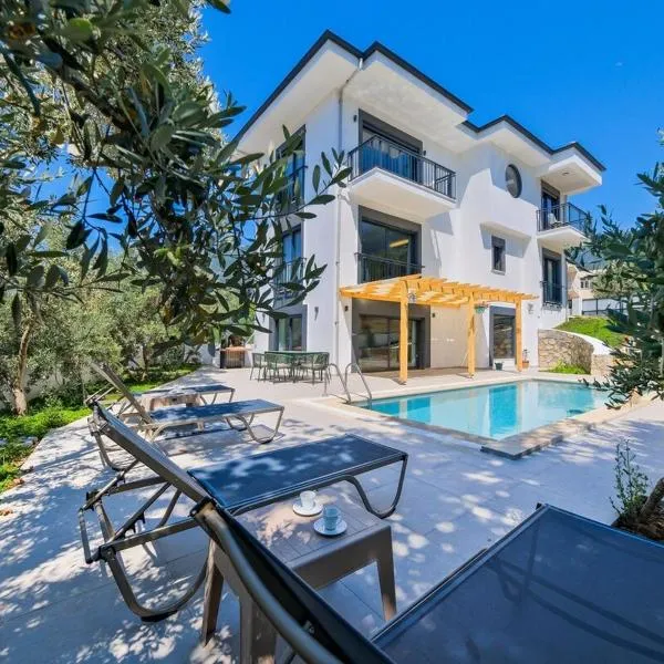 Arıcı evi delux luxury villa with indoor and outdoor pool, hotel in Fethiye